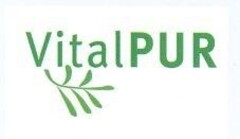 VitalPUR