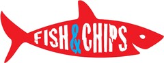 FISH & CHIPS