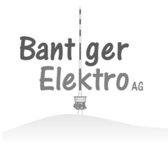 Bantiger Elektro AG