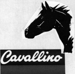 Cavallino