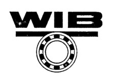 WIB