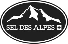 SEL DES ALPES