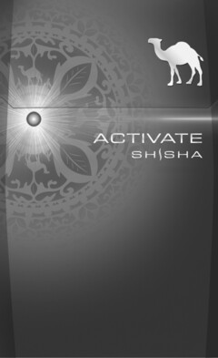 ACTIVATE SHISHA