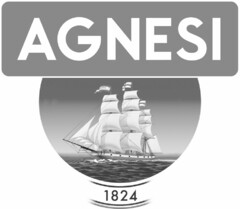 AGNESI 1824