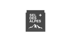 SEL DES ALPES