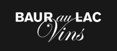 BAUR au LAC Vins