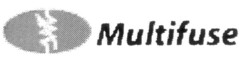 Multifuse