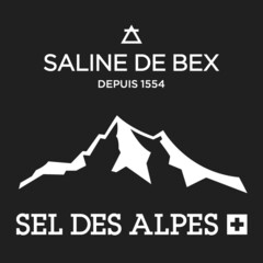 SALINE DE BEX DEPUIS 1554 SEL DES ALPES