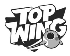 TOP WING