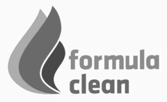 formula clean