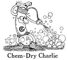 Chem-Dry Charlie