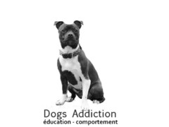 Dogs Addiction éducation - comportement