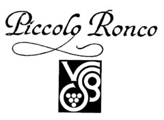 Piccolo Ronco VSG