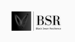 BSR Black Swan Resilience