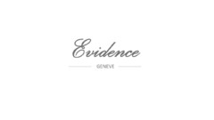 Evidence GENEVE