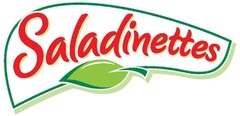 Saladinettes