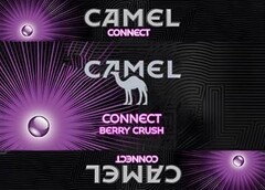 CAMEL CONNECT CAMEL CONNECT BERRY CRUSH CAMEL CONNECT