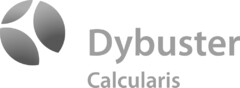 Dybuster Calcularis