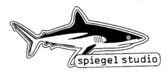 spiegel studio