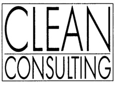 CLEAN CONSULTING
