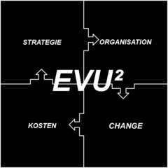 EVU 2 STRATEGIE ORGANISATION CHANGE KOSTEN