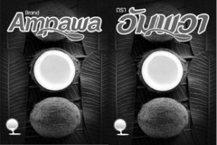 Brand Ampawa