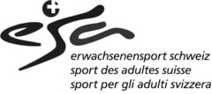 esc erwachsenensport schweiz sport des adultes suisse sport per gli adulti svizzera