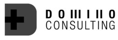 D D O M I N O CONSULTING