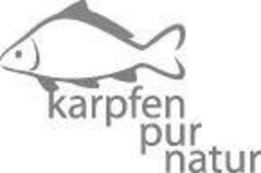 karpfen pur natur