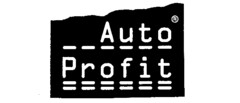 auto profit