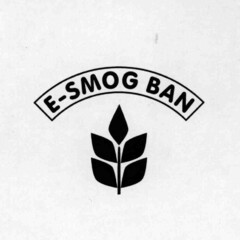E-SMOG BAN