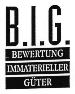 B.I.G. BEWERTUNG IMMATERIELLER GÜTER