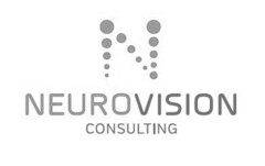 N NEUROVISION CONSULTING