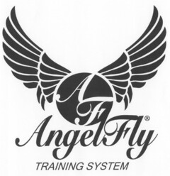 AF Angel Fly TRAINING SYSTEM