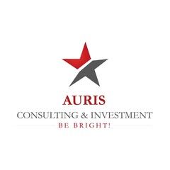 AURIS CONSULTING & INVESTMENT BE RIGHT