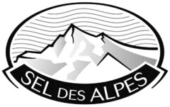 SEL DES ALPES