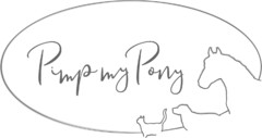 Pimp my Pony