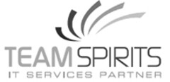 TEAM SPIRITS IT SERVICES PARTNER