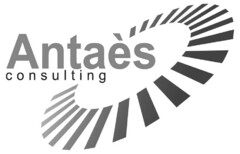 Antaès consulting