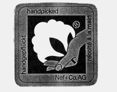 Nef + Co. AG handgepflückt handpicked récolté à la main
