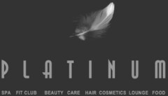 PLATINUM SPA FIT CLUB BEAUTY CARE HAIR COSMETICS LOUNGE FOOD