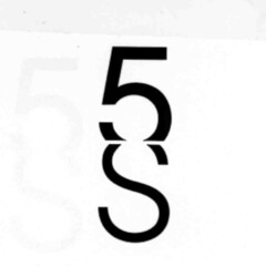 5S