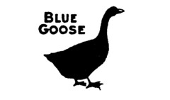 BLUE GOOSE