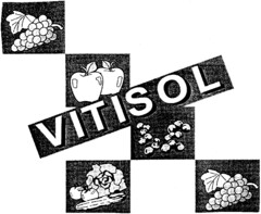 VITISOL