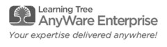 Learning Tree AnyWare Enterprise Your expertise delivered anywhere!