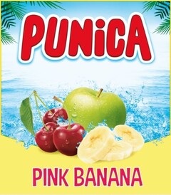 PUNICA PINK BANANA