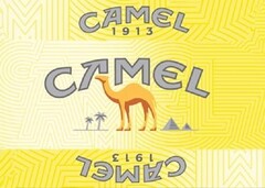 CAMEL 1913 CAMEL