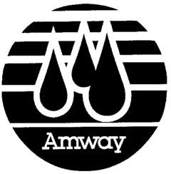 Amway