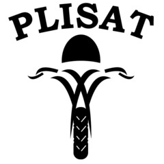 PLISAT