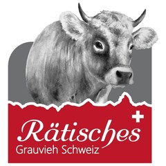 Rätisches Grauvieh Schweiz